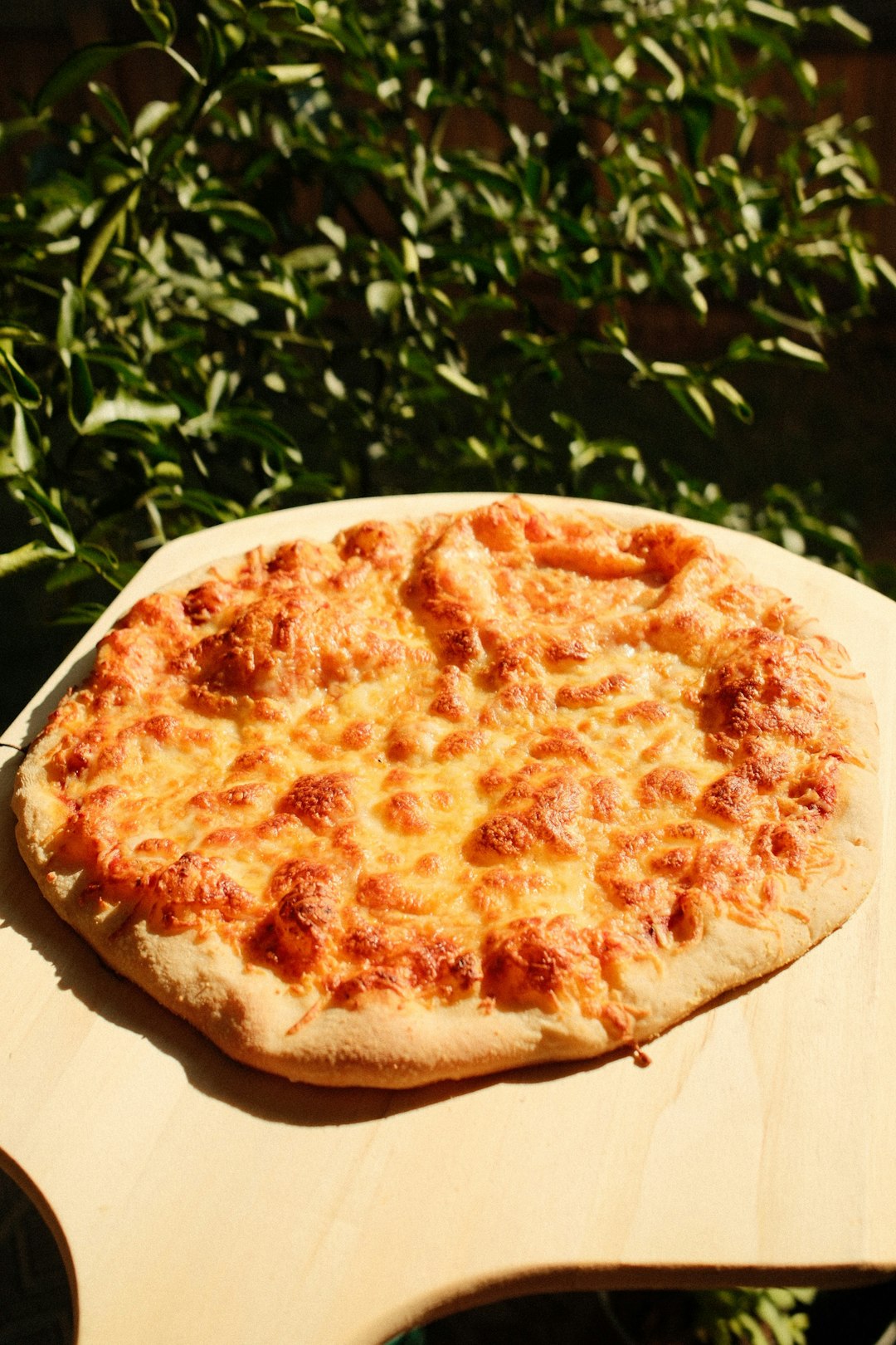 Capricciosa Pizza
